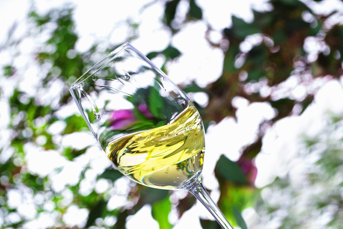 Ein Glas Weißwein wird vor einem frühlingshaften Hintergrund geschwenkt
