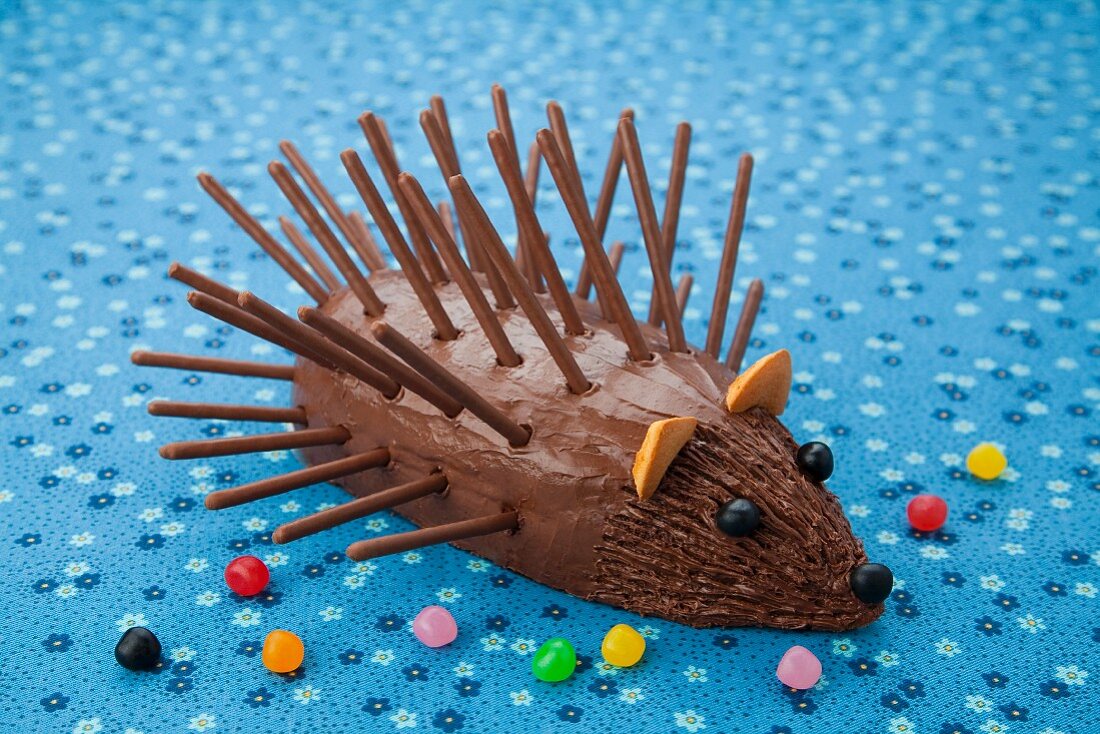 A chocolate hedgehog