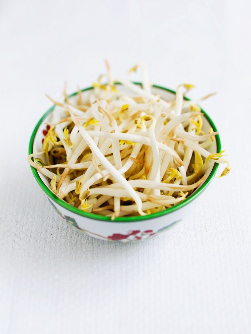 A bowl of mungo bean sprouts