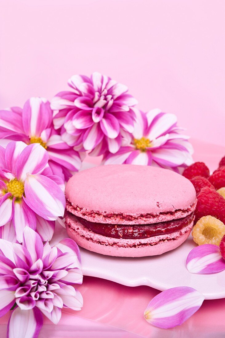 A pink macaroon filled with raspberry jam