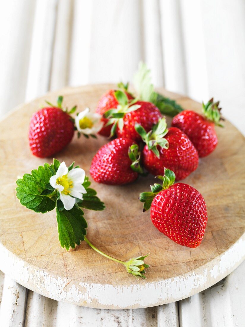 Frische Erdbeeren und Erdbeerblüten