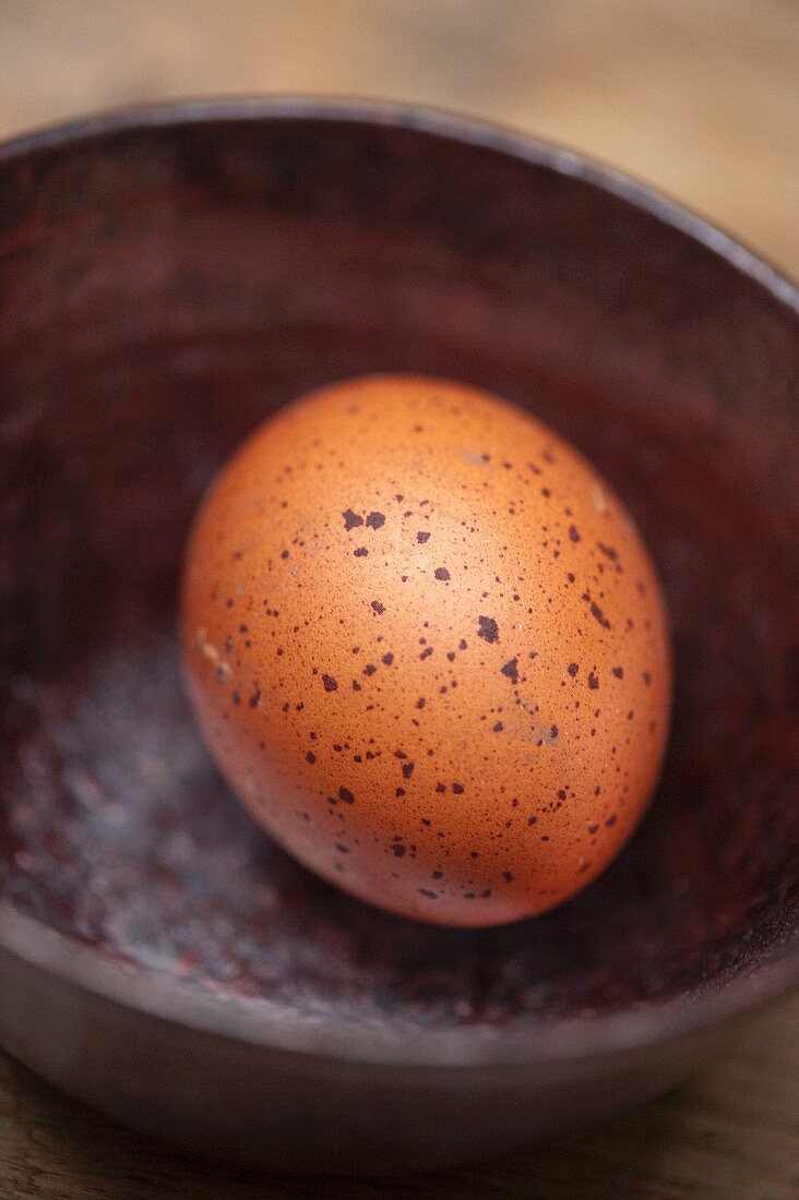 Close up of brown egg in bowl