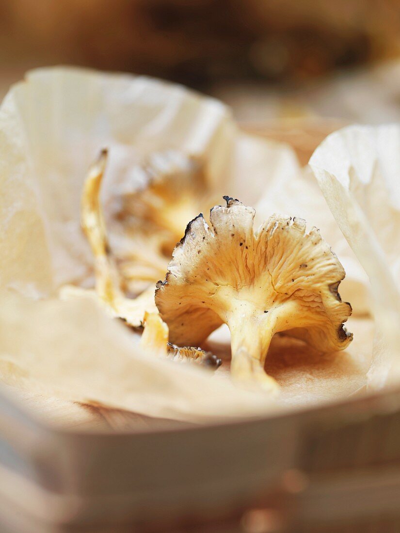Close up of punnet of morel mushrooms