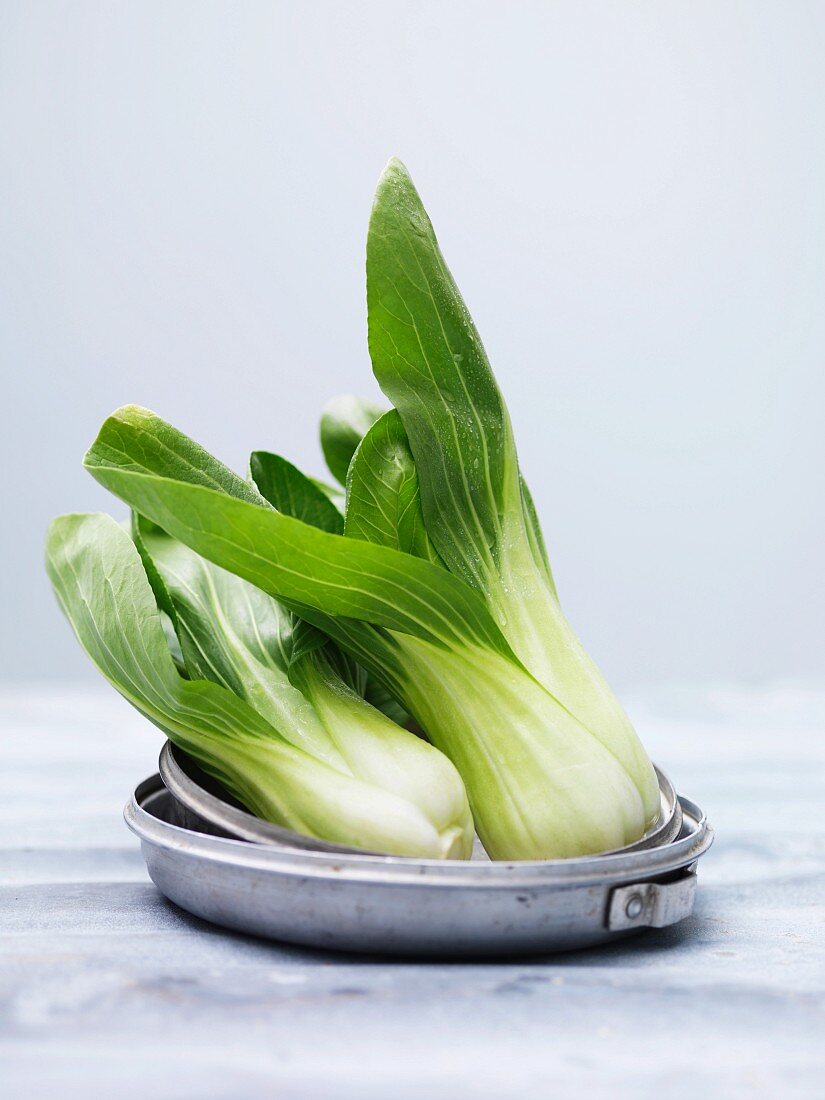 Pak Choi in Metallschale