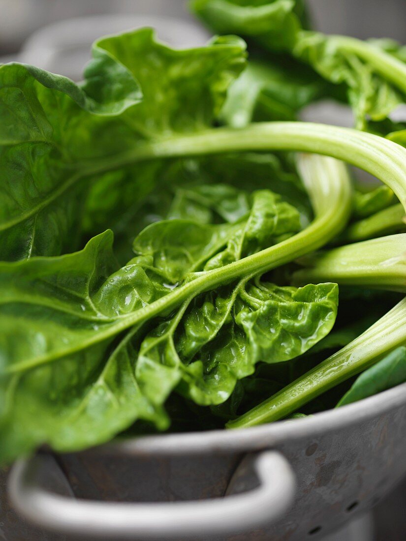 Close up of spinach in colander