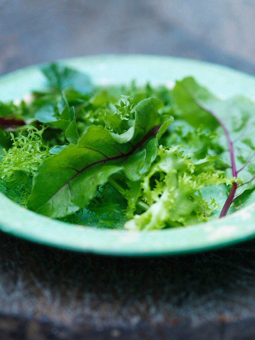 Close up of plate of mixed greens