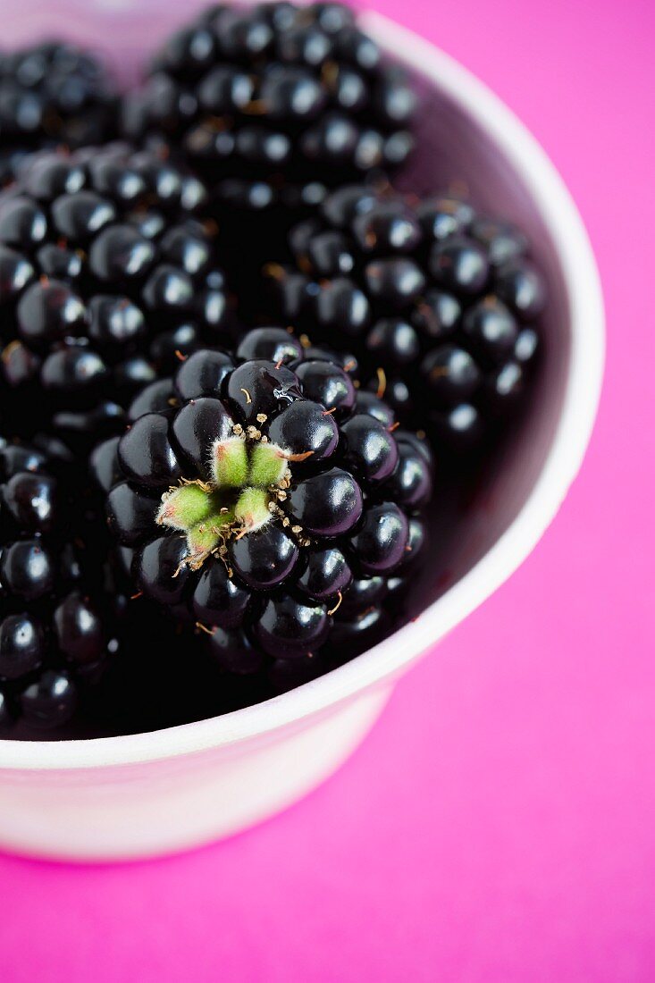 Frische Brombeeren in einer Schüssel