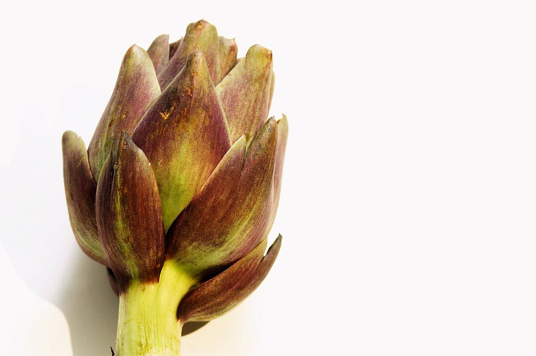 An artichoke