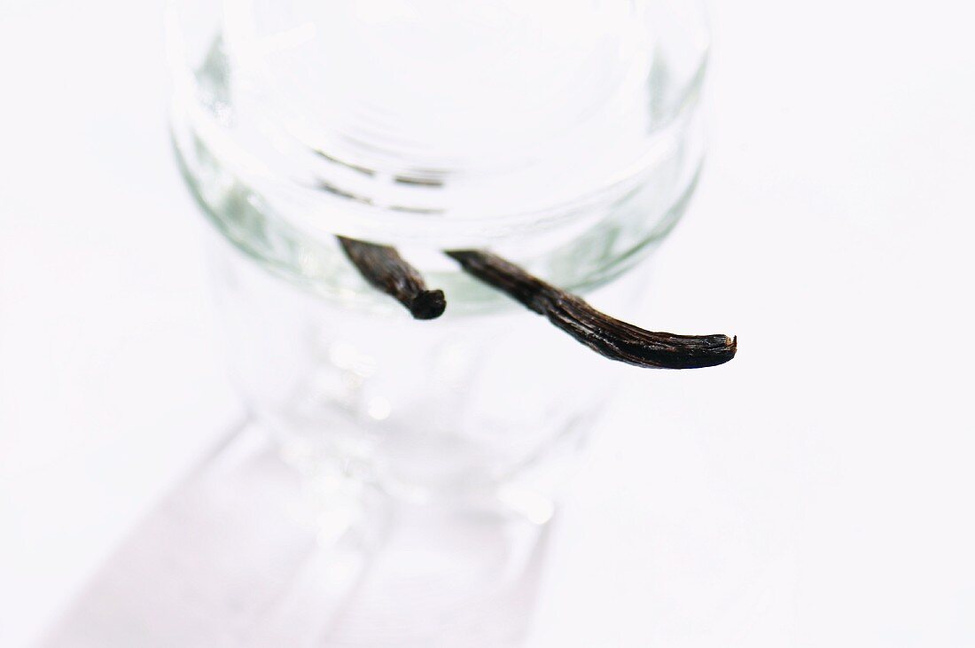 A vanilla pod in a jar