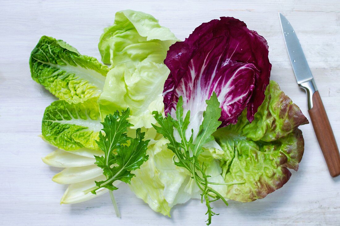 Assorted salad leaves