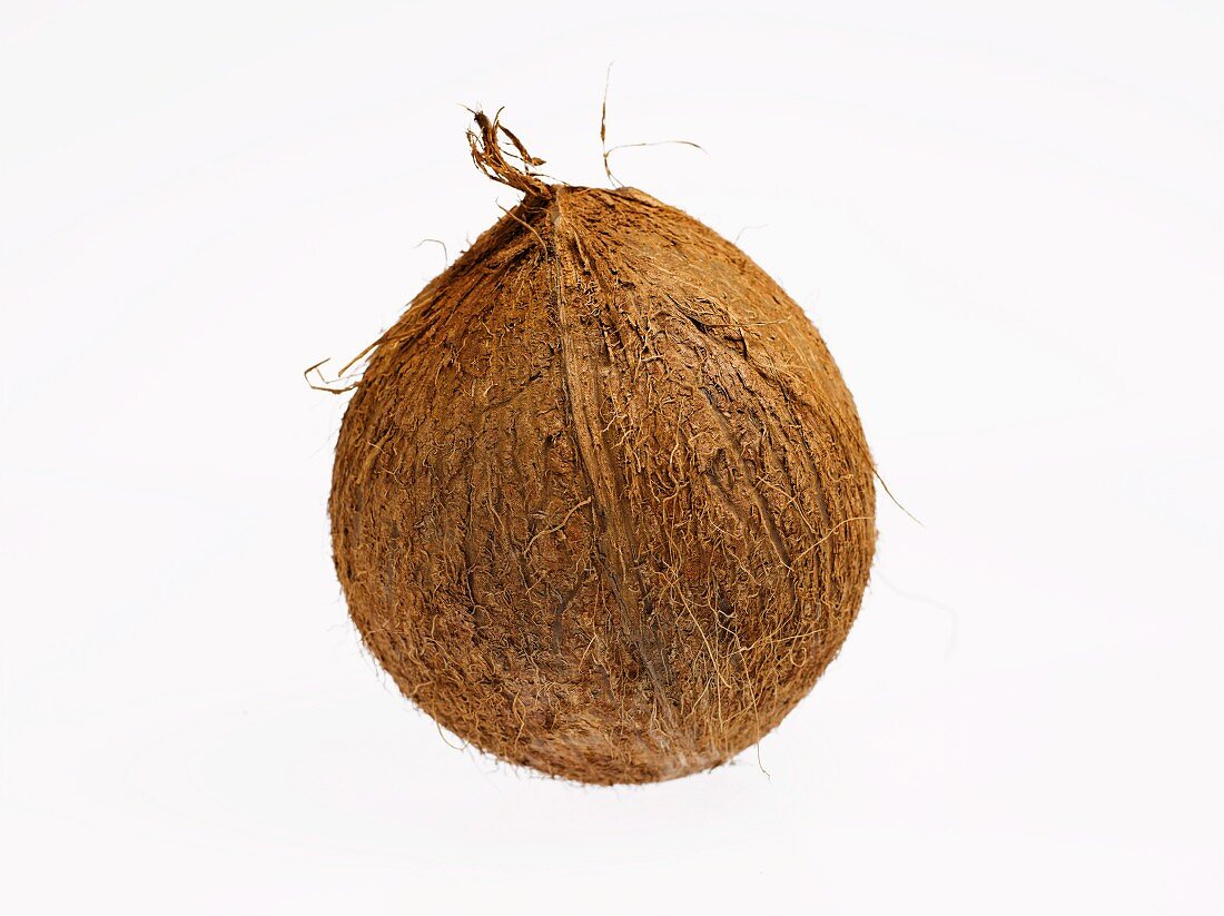 Eine Kokosnuss auf weißem Grund