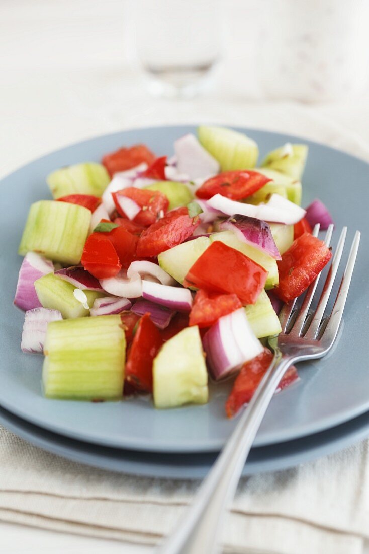 Chachumber (Salat mit Tomaten, Gurken, Zwiebeln und Koriander, Indien)