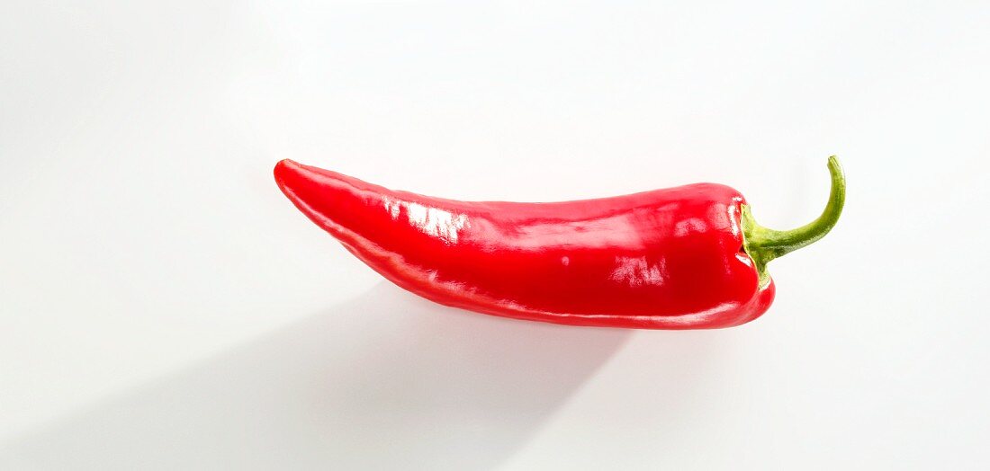 Eine rote Chilischote