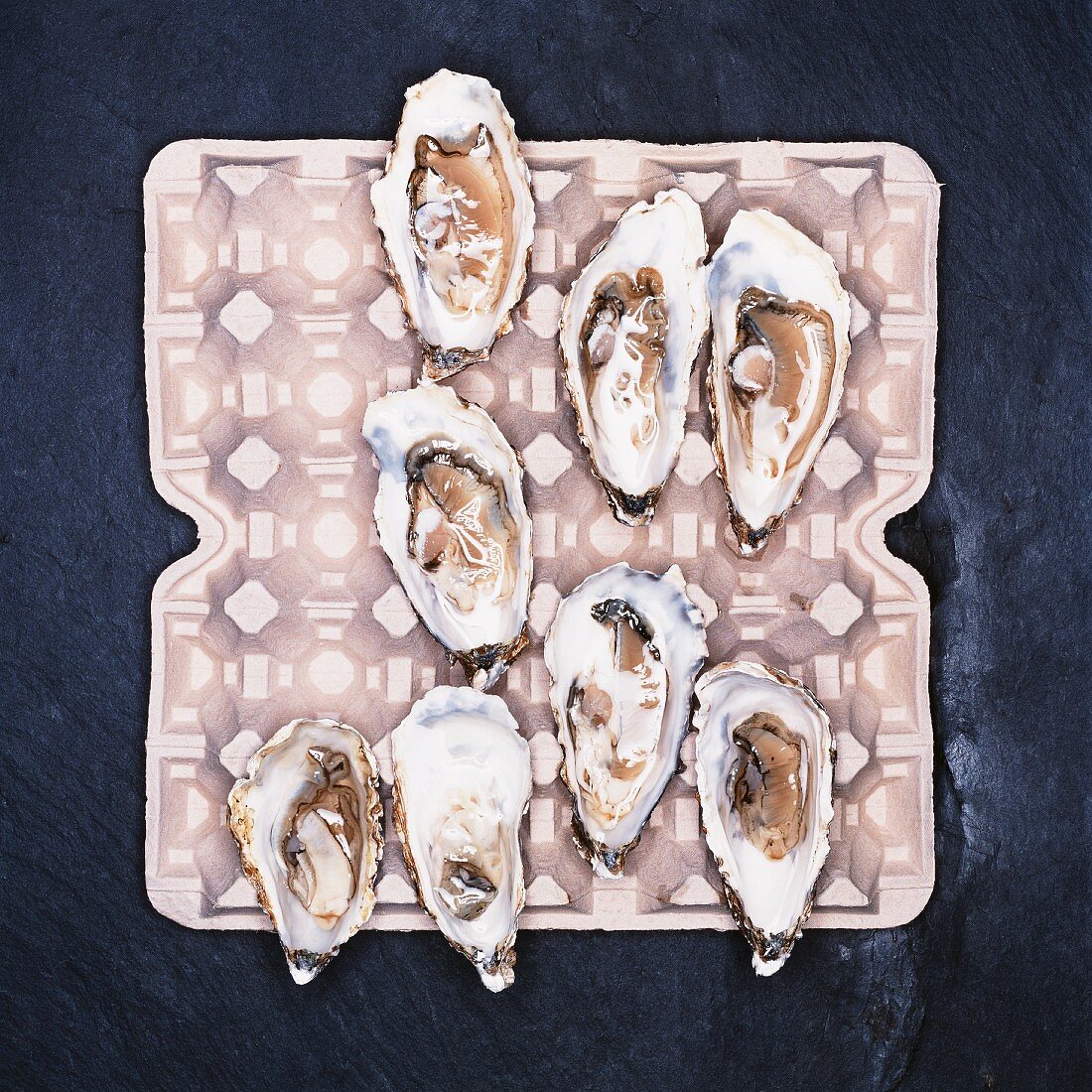 Opened oysters on an egg box