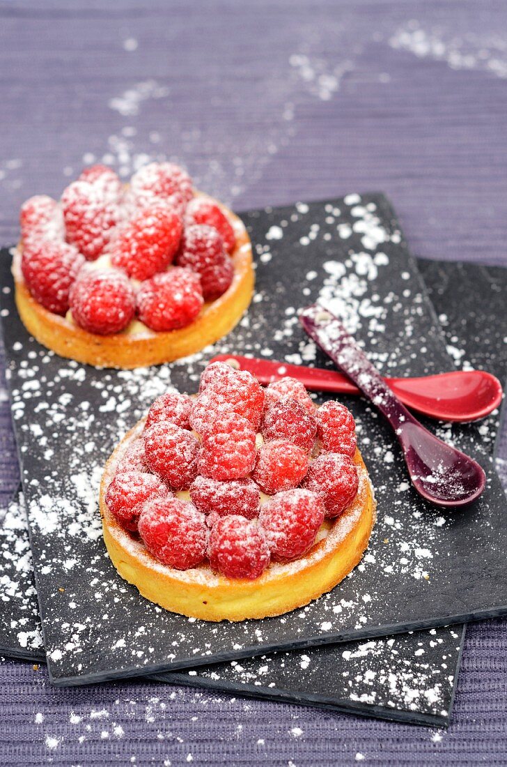 Individual Raspberry Dessert Dusted with Powdered Sugar