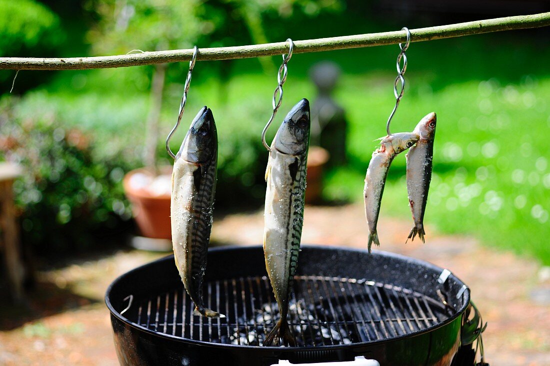 Aufgehängte Fische über einem Grill