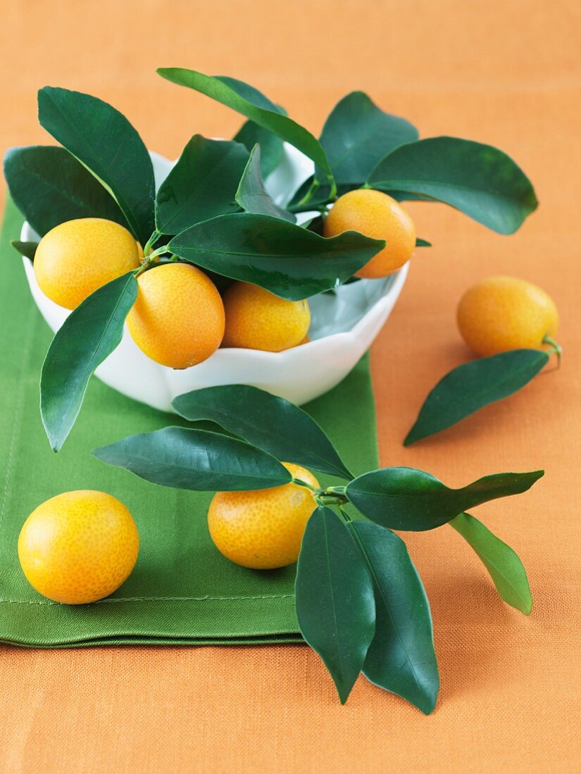 Bowl of Fresh Kumquats with Leaves
