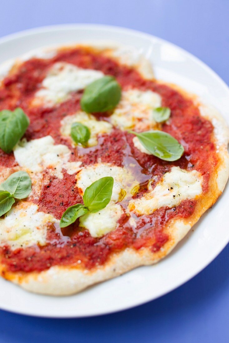 Close up of pizza with herbs and cheese