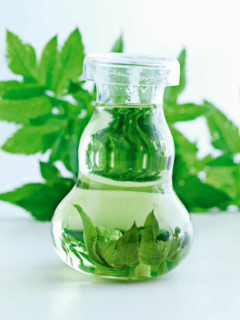 Bottle of herbs in water
