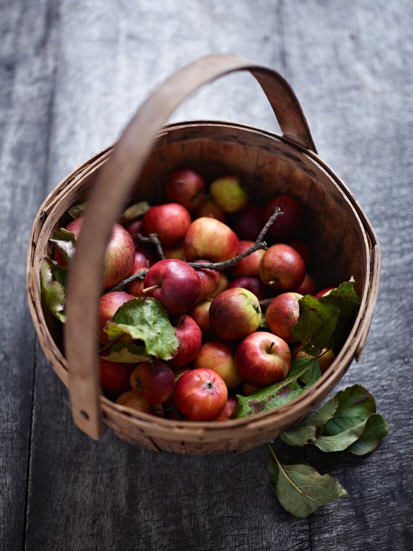 A basket of Sternrenette apples