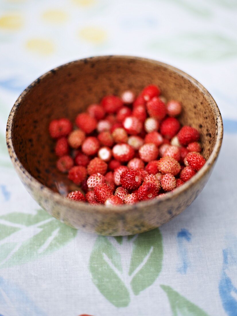 A bowl of wild strawberries