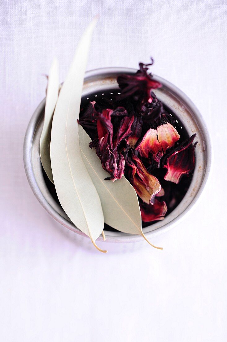 Getrocknete Eukalyptusblätter und Hibiskusblüten für Tee
