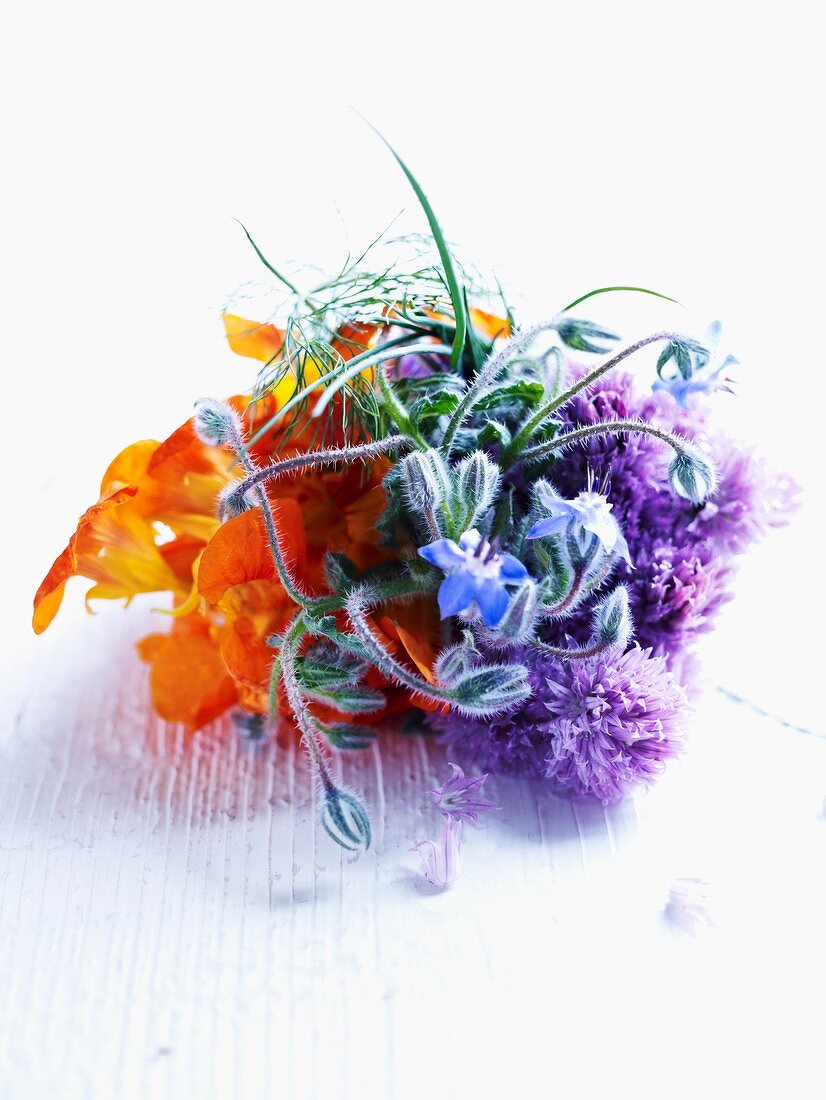 Colourful herb flowers