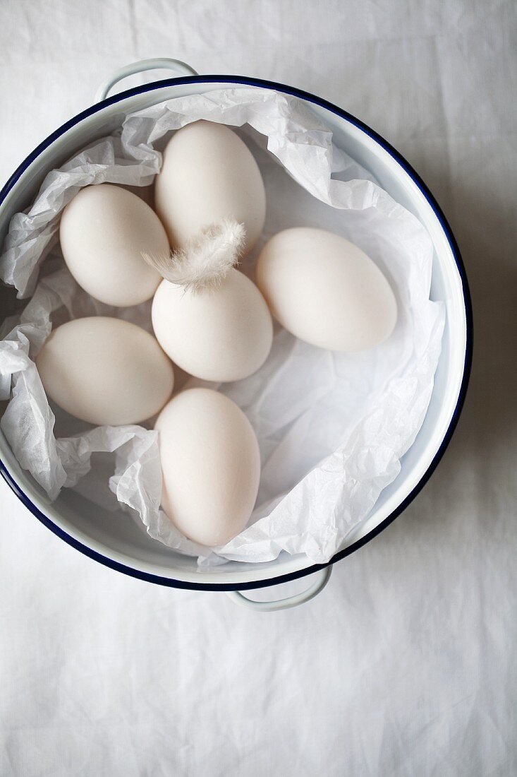 White duck eggs in an enamel pot