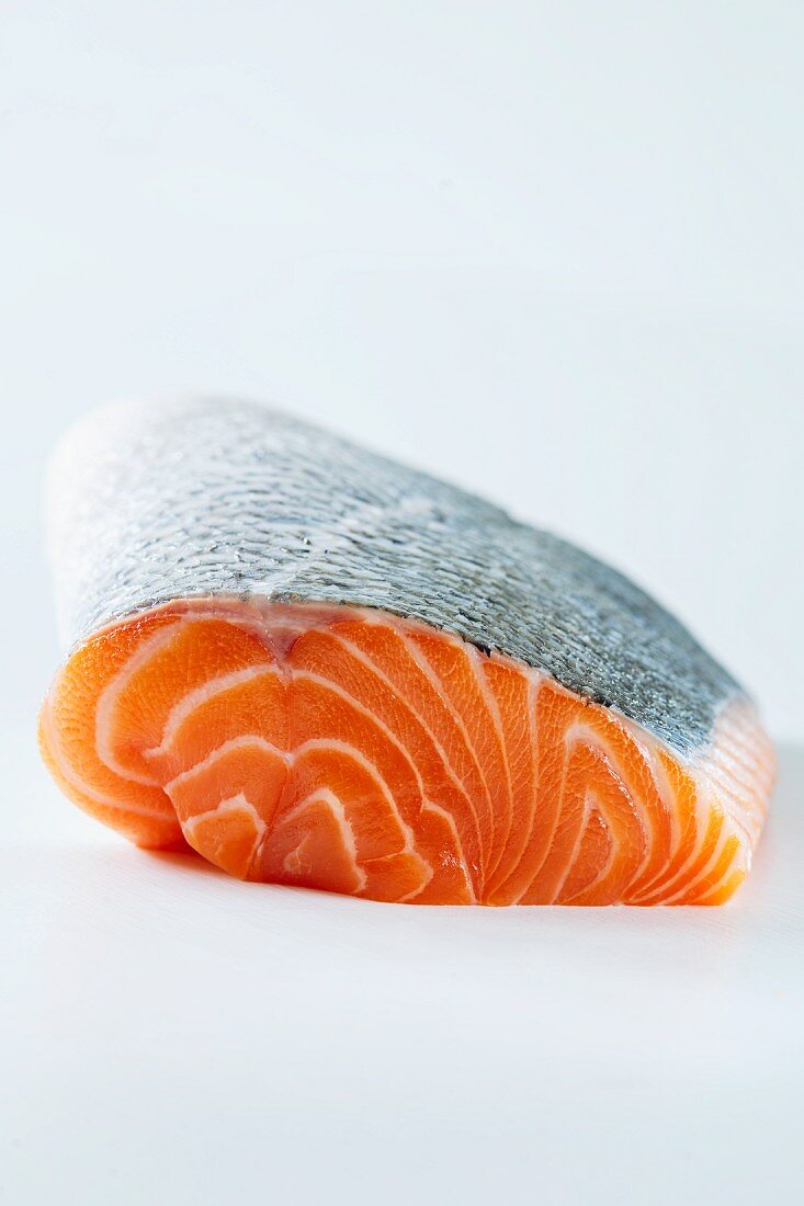 Fresh salmon fillet