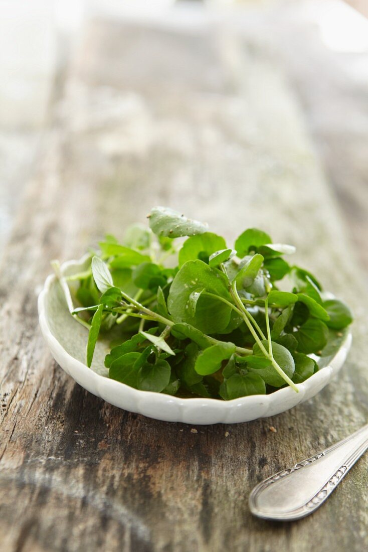 A plate of bittercress