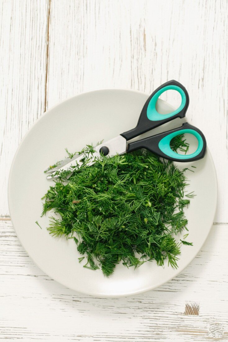 Fresh dill with a pair of herb scissors