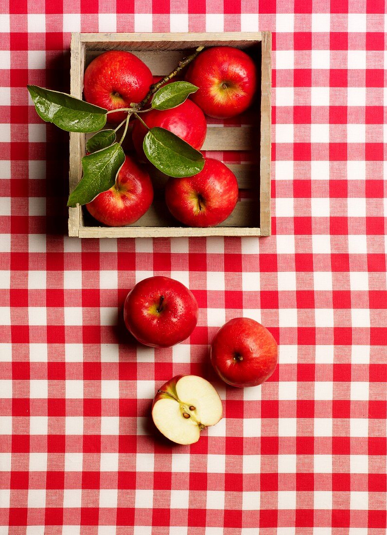 Rote Äpfel auf rot-weiss karierter Tischdecke mit Zweig