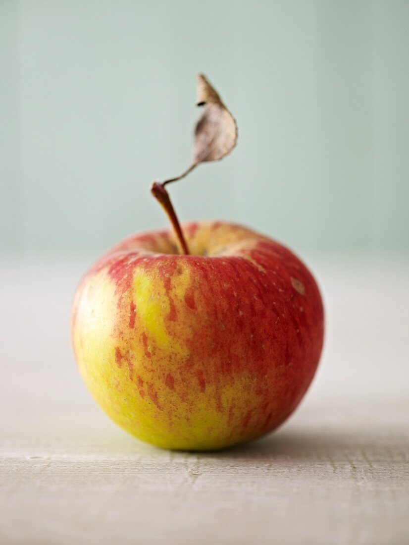 Ein Apfel mit Stiel und Blatt