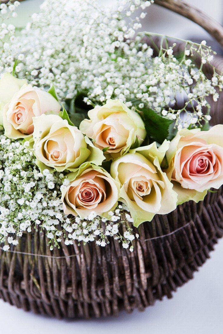 Lachsfarbene Rosen mit Schleierkraut in einem Korb