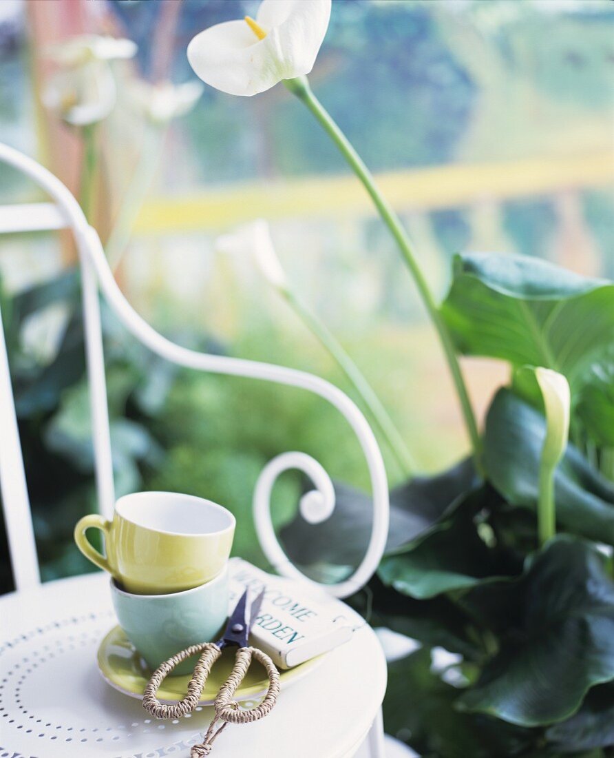 Tassenstapel auf weißem Metallstuhl neben Calla im Blumentopf auf Boden
