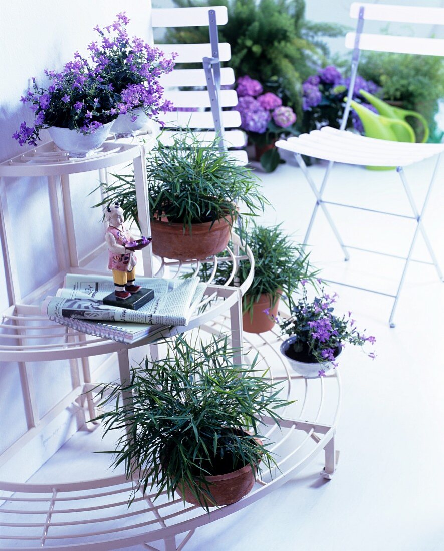 Semi-circular plant stand with plant pots and folding chairs