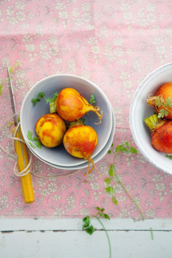 Golden beetroot