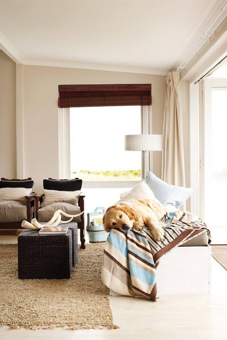 A dog lying on a blanket in a living room