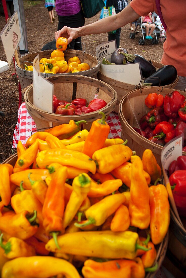 Verschiedene Sorten Paprika auf Marktstand