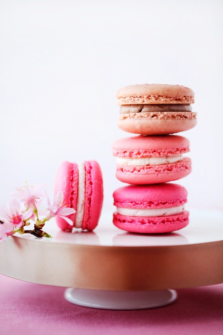 Macarons mit Kirschblüten