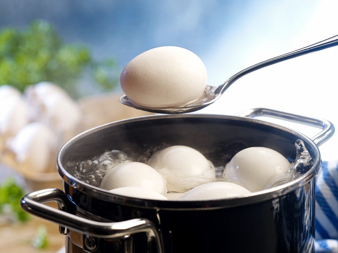 Eier in Topf mit kochendem Wasser, eines auf Löffel