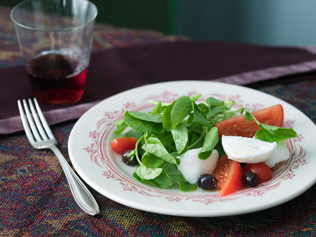 Brunnenkressesalat mit frischem Mozzarella und Tomaten