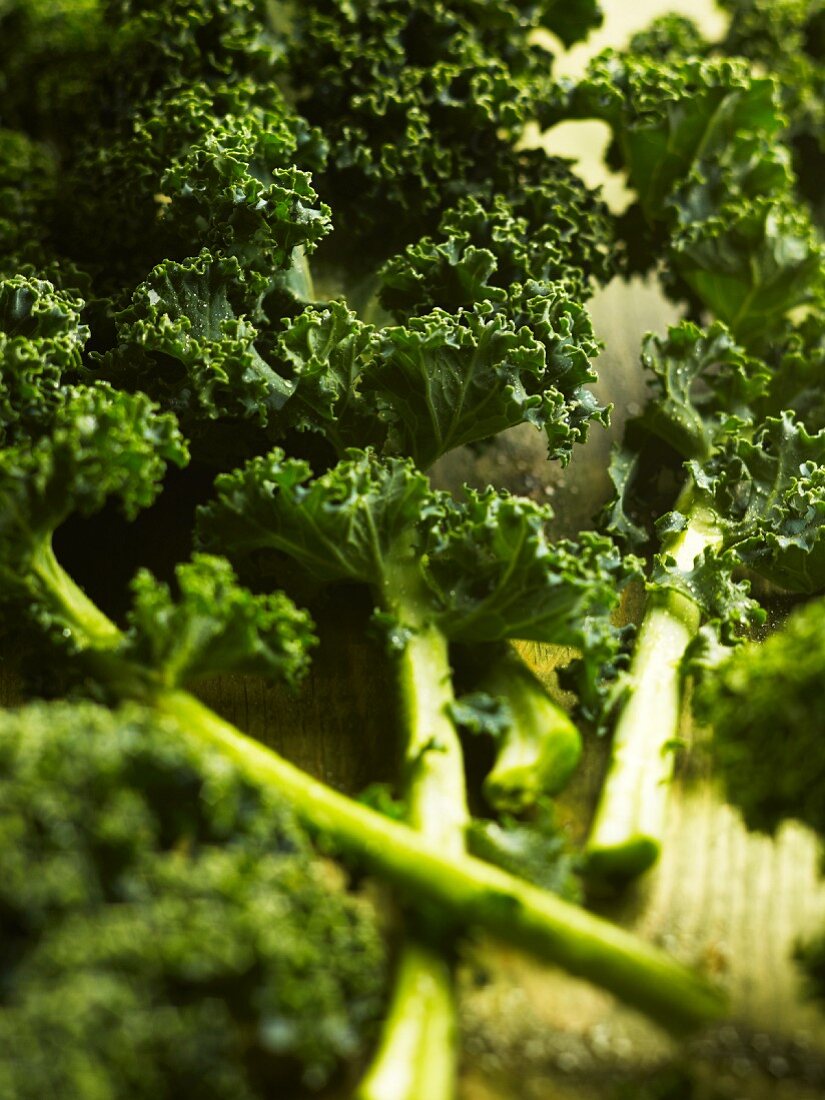 Fresh Kale Leaves