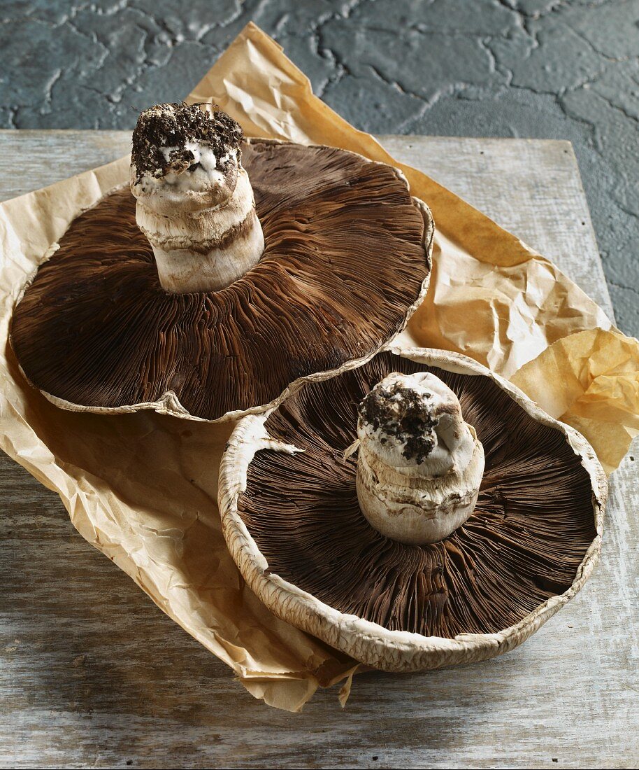 Two Portobello mushrooms on paper