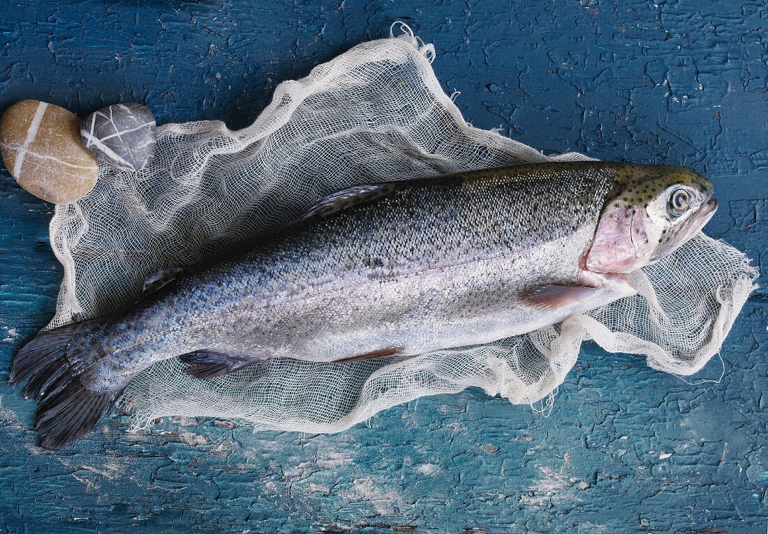 A whole trout (seen from above)