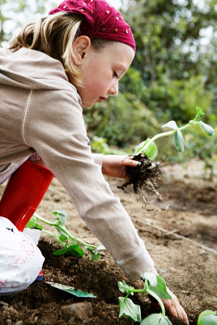 Young girl planting vegetables