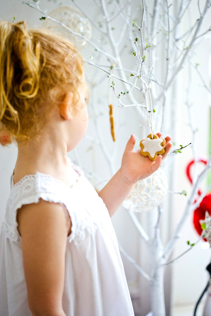 Little girl looking at Christmas biscuits hanging on tree