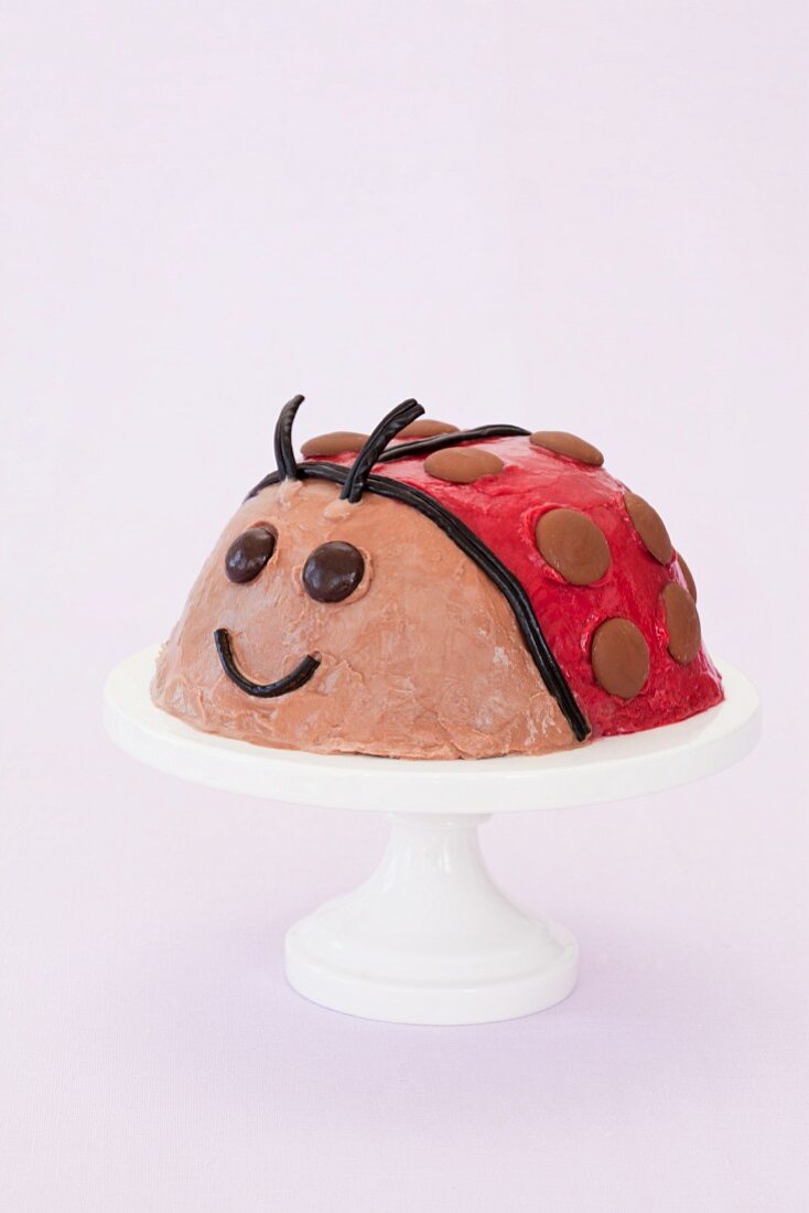 Ladybug Ice Cream Cake