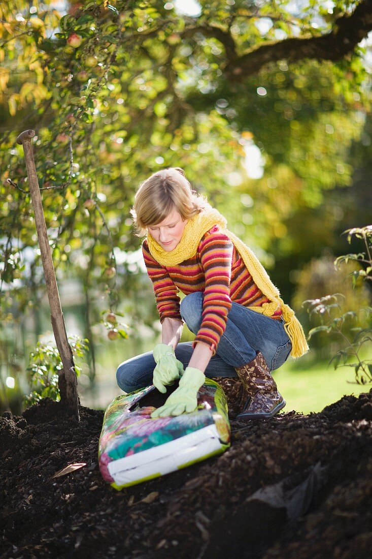 autumnal gardening