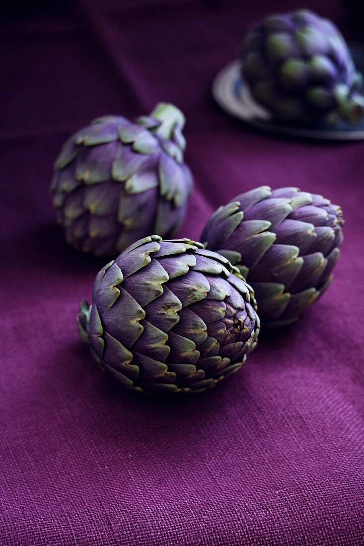 Whole Artichokes on Purple Cloth